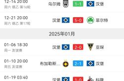 开云体育平台APP-关于汉堡队表现出色，在比赛中展现出强硬一面的信息