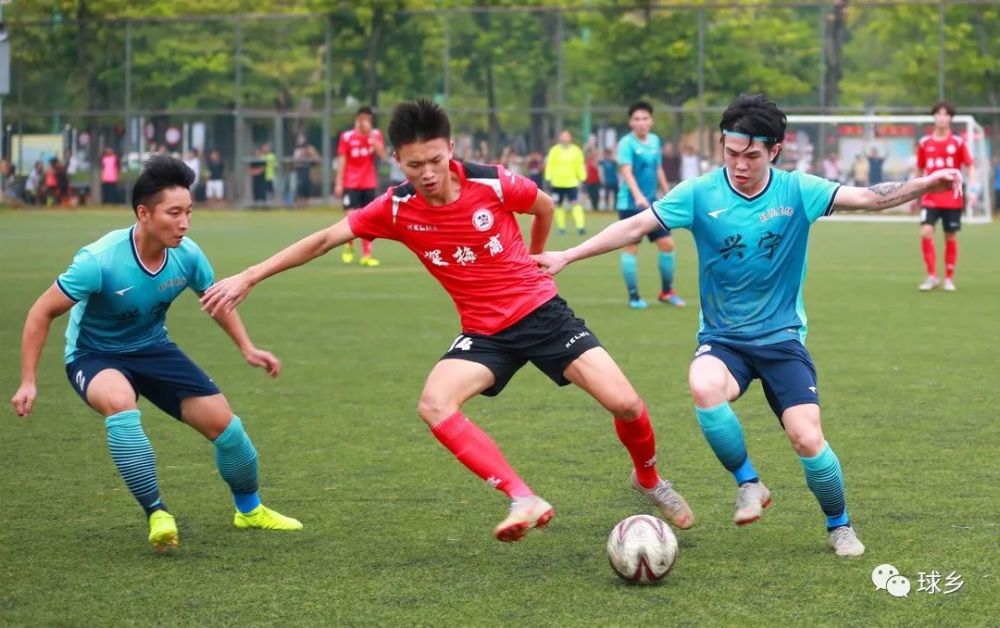 关于步行者主场胜热火,独占鳌头的信息 关于步行者主场胜热火,独占鳌头的信息